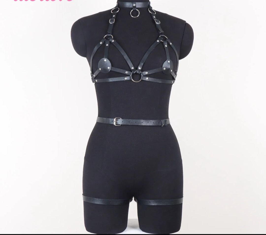 Garter Belt